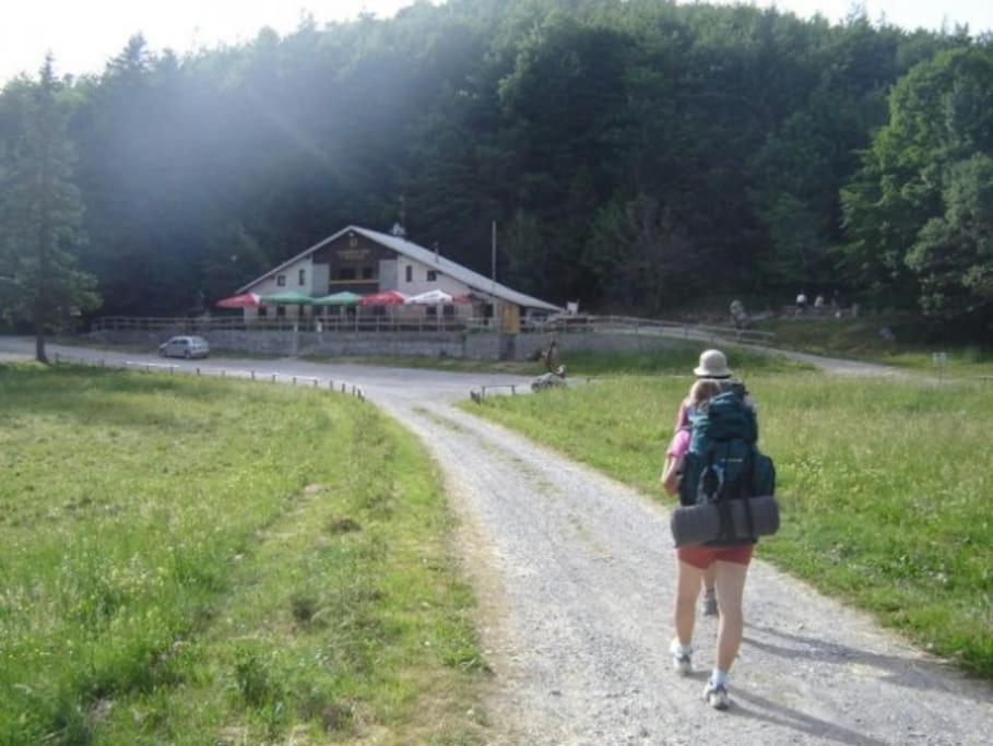 Cozy Rooms In Nature, Perfect For Relax Ilirska Bistrica Exterior foto
